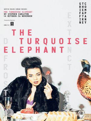 cover image of The Turquoise Elephant